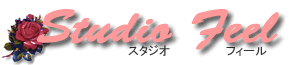 �V���h�[�{�b�N�X �n���h�N���t�g �̃X�^�W�I�e������(�t�B�[��) 
